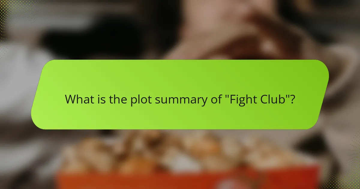 What is the plot summary of 